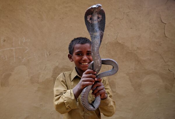 Заклинатели змей в штате Уттар-Прадеш, Индия - Sputnik Кыргызстан