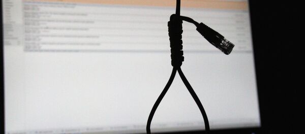 Петля из кабела на фоне монитора. Архивное фото - Sputnik Кыргызстан