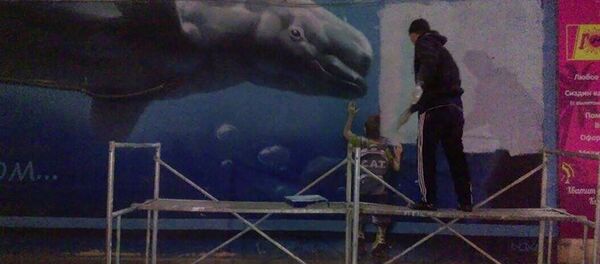 Граффити кита-белухи на стене дома на пересечении проспекта Чуй и улицы Логвиненко - Sputnik Кыргызстан