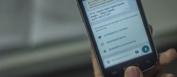 Информационная безопасность в интернете - Sputnik Кыргызстан