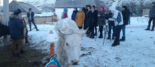 Во время съемок нового реалити-шоу на КТРК Келин - Sputnik Кыргызстан