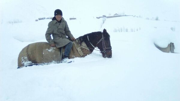 Местный житель на лошади, во время сильных снегопадов в Чон-Алайском р-не Ошской области - Sputnik Кыргызстан