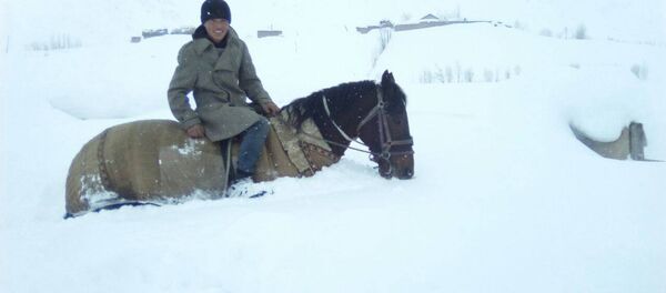 Местный житель на лошади, во время сильных снегопадов в Чон-Алайском р-не Ошской области Местный житель на лошади, во время сильных снегопадов в Чон-Алайском р-не Ошской области - Sputnik Кыргызстан