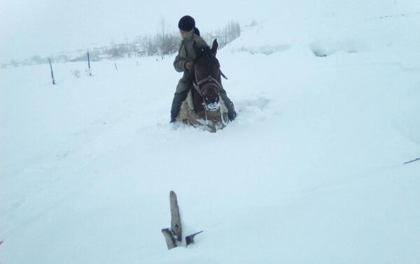 Ош облусунун Чоң-Алай районунда тынбай жааган кардын калыңдыгы бир метрден ашып, бир нече айылдарда жолдор жабылып жергиликтүү тургундардын жашоо-тиричилигин оорлоштурууда - Sputnik Кыргызстан
