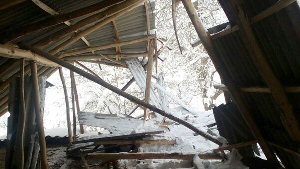 Последствия обильного снегопада в Аксы - Sputnik Кыргызстан