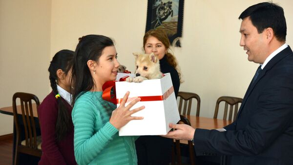 Подарки щенков породы западносибирской лайки от имени президента КР Алмазбека Атамбаева - Sputnik Кыргызстан