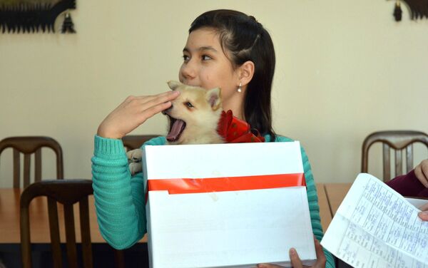 Перед празднованием Нового года маленькие Самира и Хадиже (10 и 12 лет) обратились к президенту с просьбой подарить им породистых щенков. - Sputnik Кыргызстан
