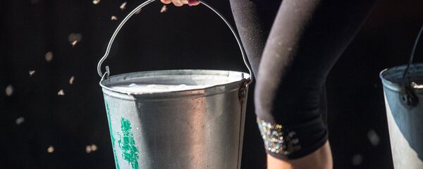 Работа сельскохозяйственной фермы в селе Ложниково Омской области - Sputnik Кыргызстан