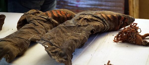 Обнаружение древнего захоронения в горной местности Uzuul Gylan в Западной Монголии - Sputnik Кыргызстан