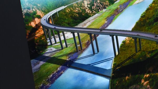 Эскиз эстакадного моста на альтернативной дороге север — юг - Sputnik Кыргызстан