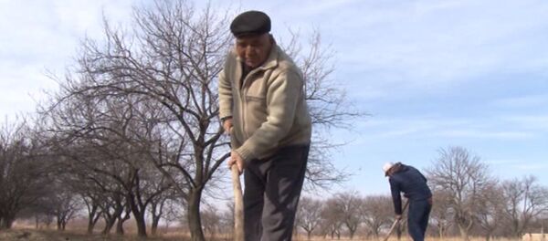 Суу каптаган талаалар: Баткенде өрүкзарлар сугарыла баштады - Sputnik Кыргызстан