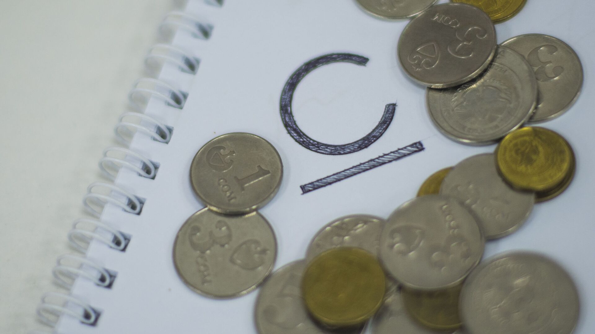 Официальной графический символ денежной единицы сома и монеты. Архивное фото - Sputnik Кыргызстан, 1920, 04.03.2022