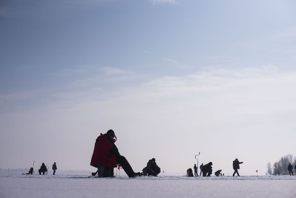 Первые соревнования по ловле рыбы на мормышку со льда в Бишкеке - Sputnik Кыргызстан