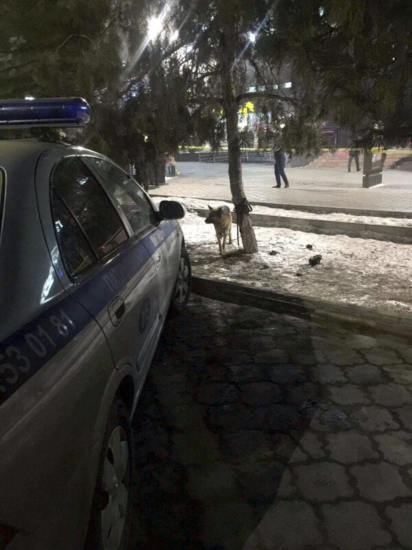 Поступил звонок о заложенной бомбе в развлекательном комплексе Космопарк - Sputnik Кыргызстан