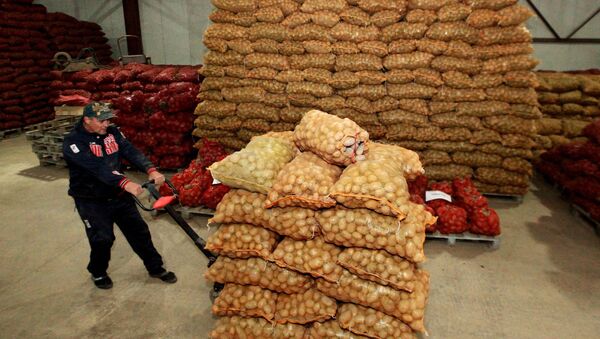 Рабочий складирует урожай картофеля. Архивное фото - Sputnik Кыргызстан