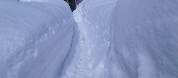 Чаткалда жааран калын кар - Sputnik Кыргызстан