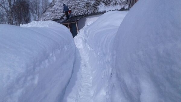 Чаткал району. Архив - Sputnik Кыргызстан