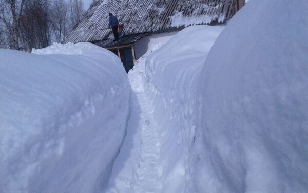 В Чаткальском районе Джалал-Абадской области уже пятый день идет снег. - Sputnik Кыргызстан