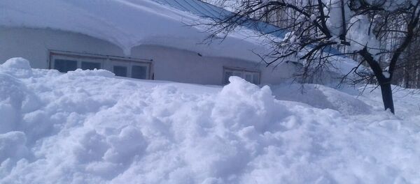 Чаткалдагы жаган калын кар. Архив - Sputnik Кыргызстан