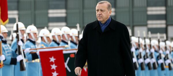 Түркиянын президенти Режеп Тайип Эрдогандын архивдик сүрөтү - Sputnik Кыргызстан