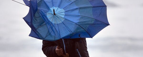 Последствия сильного ветра - Sputnik Кыргызстан