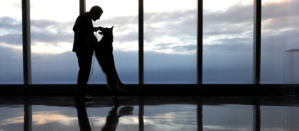 Выставка собак Westminster Kennel Club в Нью-Йорке - Sputnik Кыргызстан