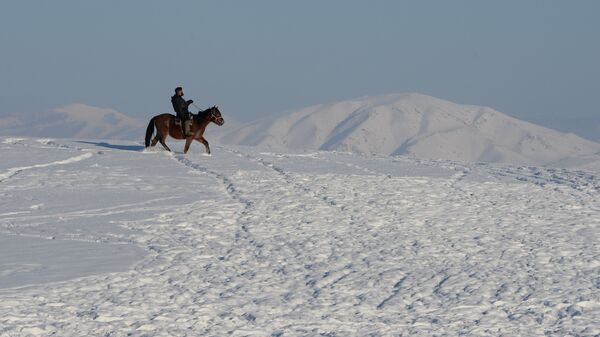 Всадник. Архивное фото Всадник. Архивное фото - Sputnik Кыргызстан