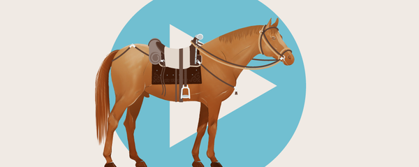 Кыргызское седло и снаряжение для лошади - Sputnik Кыргызстан