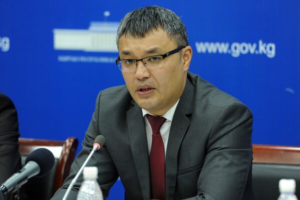 Директор Департамента таможенной инфраструктуры Евразийской экономической комиссии Данияр Иманалиев - Sputnik Кыргызстан