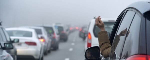 Тамеки тартып, унааны айдап бараткан айдоочу. Архив - Sputnik Кыргызстан