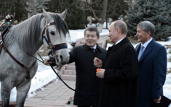 Белгилей кетсек, 28-февралда Владимир Путин Кыргызстанга расмий иш сапары менен келген. - Sputnik Кыргызстан