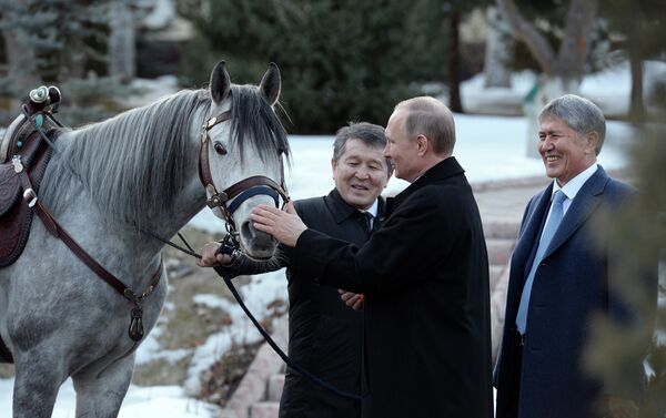 Сегодня личный фотограф президента КР Султан Досалиев выставил в соцсетях несколько снимков Путина и Атамбаева с лошадью серой масти и подписал: после переговоров… - Sputnik Кыргызстан