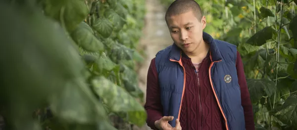 Бизнесмен, владелец теплиц Тилек Токтогазиев Бизнесмен, владелец теплиц Тилек Токтогазиев - Sputnik Кыргызстан