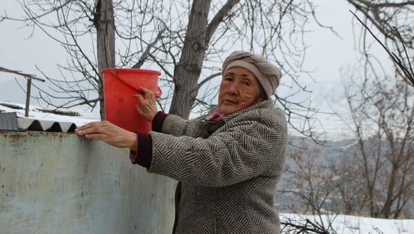 64-летняя жительница Оша Бааркан Калдыбаева - Sputnik Кыргызстан