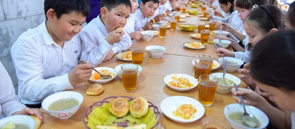 Презентация новой модели питания для школьников в Бишкеке - Sputnik Кыргызстан