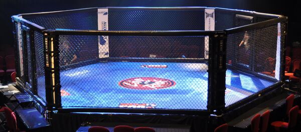 Октагон. Архив - Sputnik Кыргызстан