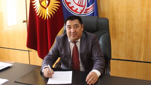 Полномочный представитель правительства КР в Нарынской области Аманбай Кайыпов - Sputnik Кыргызстан