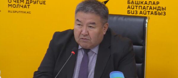 Кыргызстан может помочь рынкам стран СНГ развить экономику — эксперт - Sputnik Кыргызстан