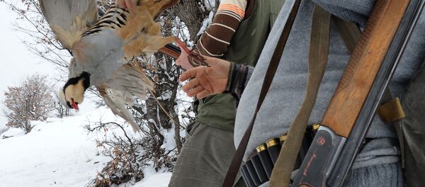 Охота в Турции Охота в Турции - Sputnik Кыргызстан