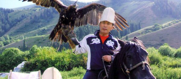 Кыргыз Республикасынын Эл артисти, Кыргыз Республикасынын Түркиядагы Атайын жана Толук Ыйгарымдуу элчиси, профессор Ибрагим Жунусов. Архив - Sputnik Кыргызстан