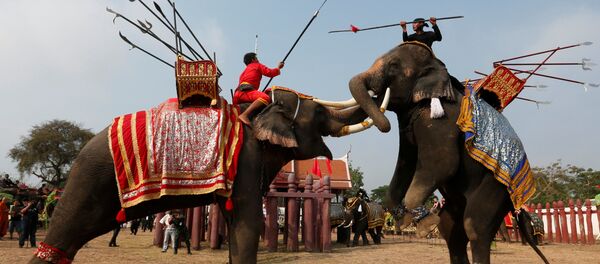 Жители Таиланда отмечают национальный день слона, который является символом страны. Архивное фото - Sputnik Кыргызстан