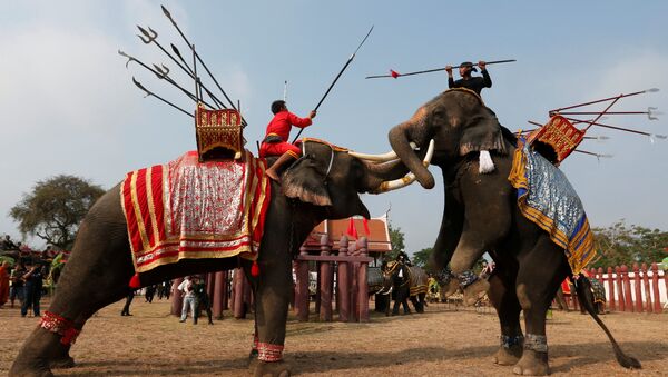 Жители Таиланда отмечают национальный день слона, который является символом страны. Архивное фото - Sputnik Кыргызстан