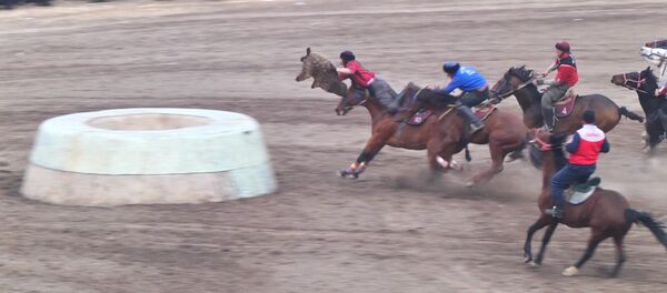 Көк бөрү: баш байге үчүн кыл чайнашкан беттеш, күйөрмандардын сүрөөнү Көк бөрү: баш байге үчүн кыл чайнашкан беттеш, күйөрмандардын сүрөөнү - Sputnik Кыргызстан