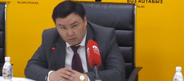 С начала года в Бишкеке снесли 910 незаконных объектов - Sputnik Кыргызстан