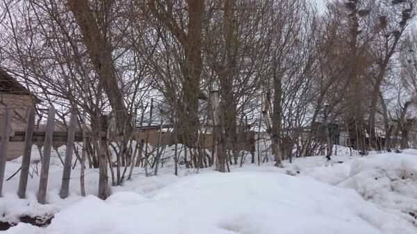 Погода в регионах Кыргызстана - Sputnik Кыргызстан