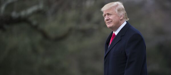 АКШнын президенти Дональд Трамптын архивдик сүрөтү - Sputnik Кыргызстан
