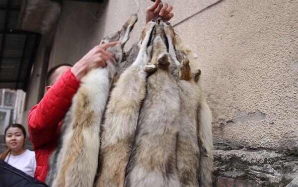 На рынке шкур, который находится на объездной трассе в Аламудунском районе, между шкурами лис и волков обнаружили чучело тянь-шаньского бурого медведя, занесенного в Красную книгу. - Sputnik Кыргызстан