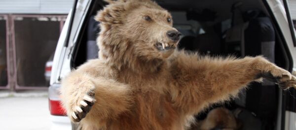 Антибраконьерский рейд на рынке в Аламудунском районе - Sputnik Кыргызстан