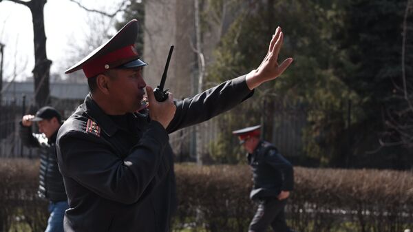 Бишкек шаарынын милиция кызматкери. Архив - Sputnik Кыргызстан
