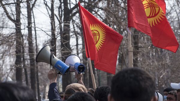 Митингующие с транспарантами и флагом Кыргызстана. Архивное фото - Sputnik Кыргызстан